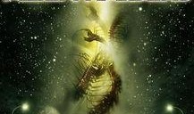 恐怖异形入侵在线观看,在线惊悚直播