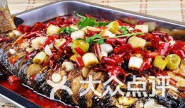 石家庄烤鱼爆料视频播放,视频播放量惊人！